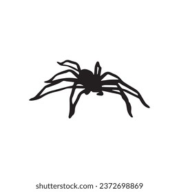 Scary spider on white background