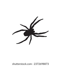 Scary spider on white background