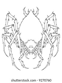 scary spider outline