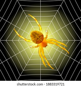 Scary spider sits on a web isolated on black-yellow background.Vector illustration.