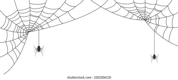 Scary spider web background. Halloween spider web isolated on white background