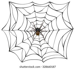 Scary spider of web. Illustration