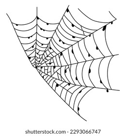 Scary spider web isolated. Spooky Halloween decoration. Outline cobweb vector illustration. Decorative element for your design