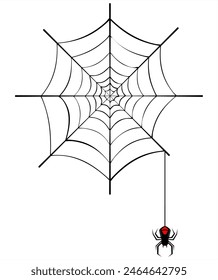 scary spider and web vector 