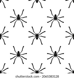 Scary spiders of black color on a white background. Seamless background for print 