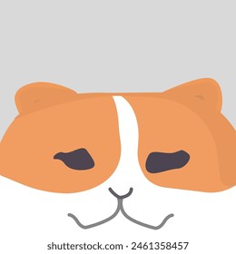 Scary Split Half Orange Cat with Pure White Accents. at with Pure White Accents Scary Split Half Orange