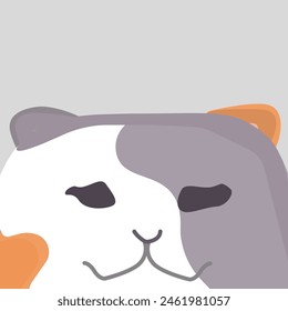 Scary Tricolor Cat with Flame Orange, Dusty Rose, and Pure White Patches. Tricolor Cat with Flame Orange, Dusty Rose, and Pure White Patches Scary
