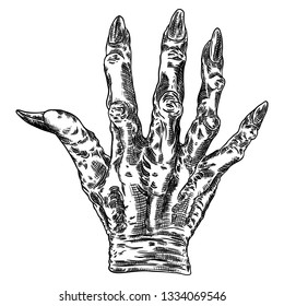 Scary zombie monster hand, hand drawn. Isolated on white background, for Halloween. Vector. 