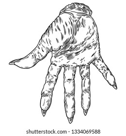 Scary zombie monster hand, hand drawn. Isolated on white background, for Halloween. Vector. 