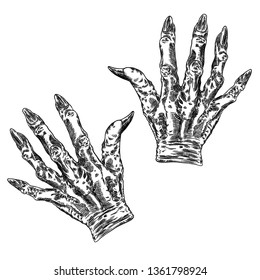 Scary zombie monster hands, hand drawn. Isolated on white background. Halloween set. Vector. 