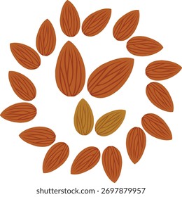 Scattered Almonds Arranged in a Circular Pattern nuts