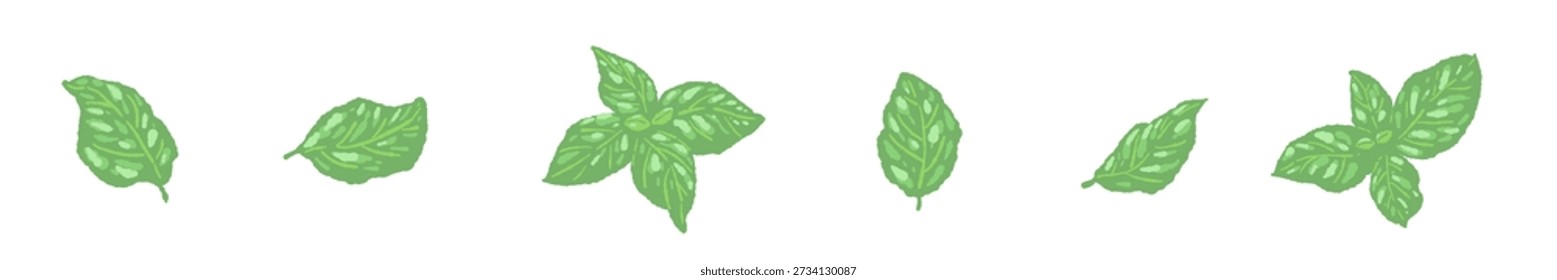 Divisor de línea de hojas de albahaca dispersas