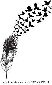 scattered feather with flying birds