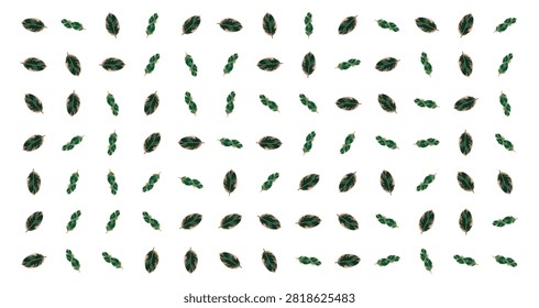 scattered green and brown leaves arranged randomly on black background natural elements with detailed texture