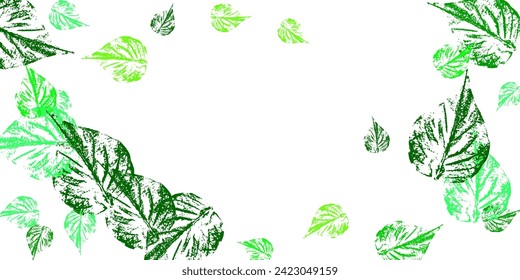 scattered green fresh leaves isolated on white background. eco concept. top view. flat lay. Canadian symbol maple red orange yellow dry autumn leaves. 