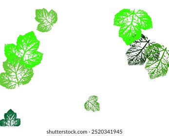 scattered green fresh leaves isolated on white background.  Red gold yellow sorb dry autumn leaves. 