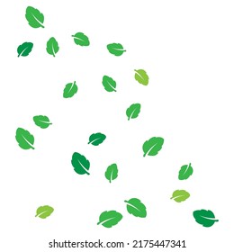 scattered leaf background illustration design