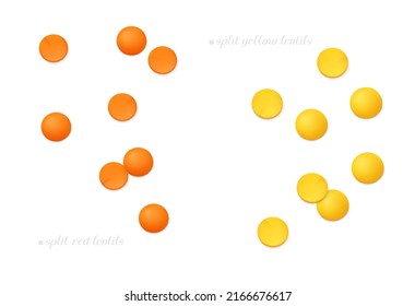 Scattered red and yellow split lentils (Masoor Dal) isolated on white background. Top view. Realistic vector illustration. 