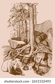 Scattered rocks in the mountains and a tree. Linear illustration of a mountain landscape converted into a vector drawing.