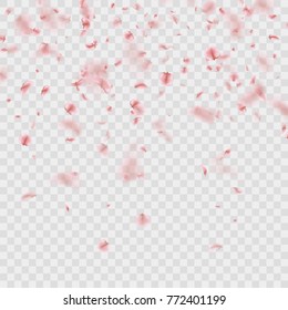 Scattered Sakura petals on transparent background. Cherry petals fall down. And also includes EPS 10 vector