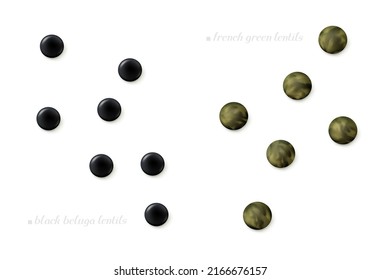 Scattered seeds of French green and black beluga lentil isolated on white background. Top view. Realistic vector illustration.