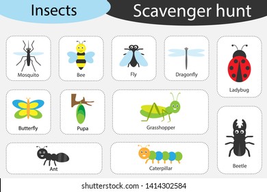 Scavenger hunt, insects theme, different colorful pictures for children, fun education search game for kids, development for toddlers, preschool activity, set of icons, vector illustration