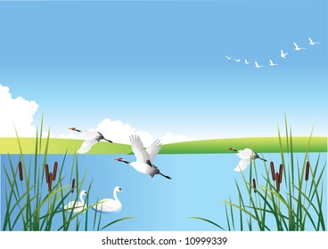 scene