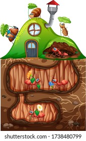 Scene with ants living underground in the garden illustration