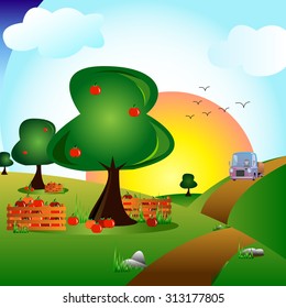 Scene of an apple orchard