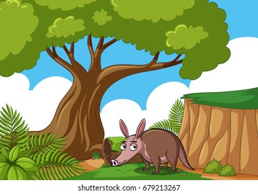 Scene with armadillo in the forest illustration