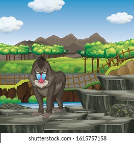 Scene with baboon in the zoo illustration