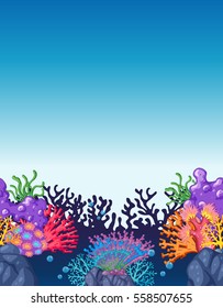 Scene with colorful coral reef underwater illustration