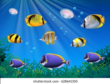 Scene With Colorful Fish Swimming Underwater Illustration