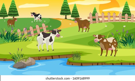 Escena con vacas en la ilustración de campo