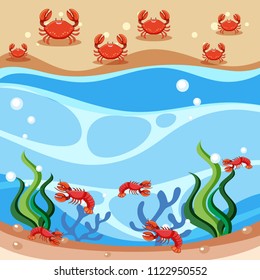 Scene of crabs and shrimp illustration