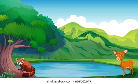 Scene with deer and red panda by the pond illustration