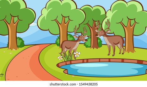 Scene with deers in the forest illustration