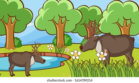 Scene with deers in the park illustration