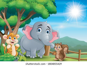 Scene with different kind animal at the open zoo