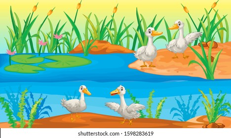 Scene with ducks by the river illustration