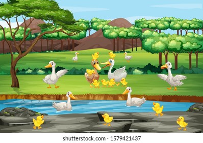 Scene with ducks and chicks in the field illustration