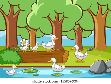 Scene with ducks in the forest illustration