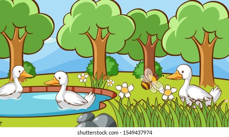 Scene with ducks in the park illustration