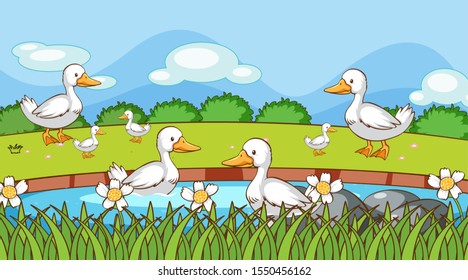 Scene with ducks in the river illustration