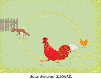 Scene from a farm yard. The rooster defending his flock of dangerous fox