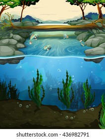 Scene with fish swimming in the river illustration