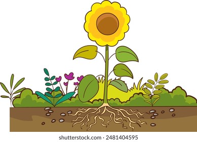 Scene with flowers growing in the bright sunny day illustration