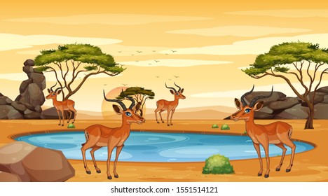 Scene with gazelle in the field illustration