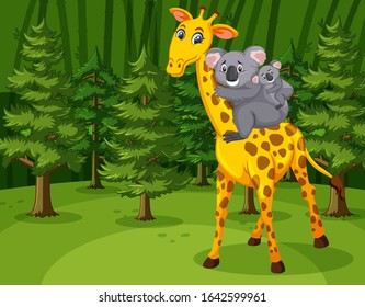 Scene with giraffe and koala in the forest illustration