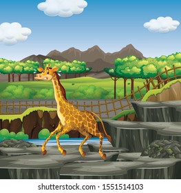Scene with giraffe at the zoo illustration